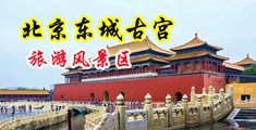 国产人兽俱乐部网中国北京-东城古宫旅游风景区